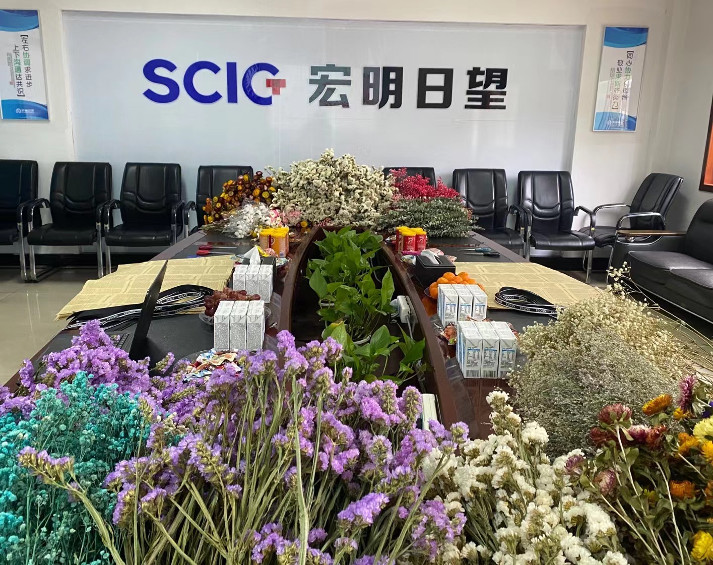 开云手机站登入,宏明日望,株洲电子科技,湖南电容器,株洲电容器,电容器